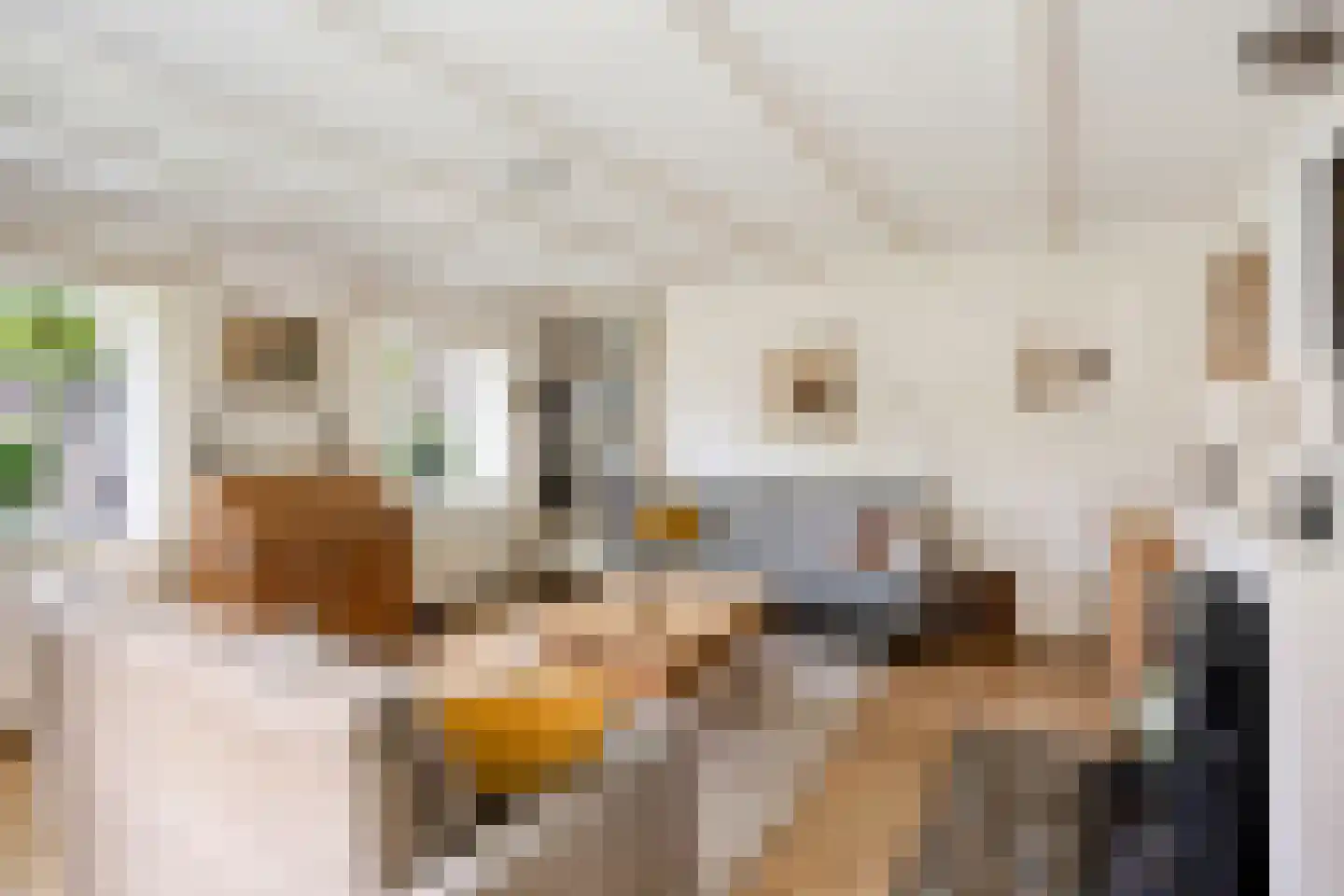 Vissersweg 35 Elst Ut thumbnail 18