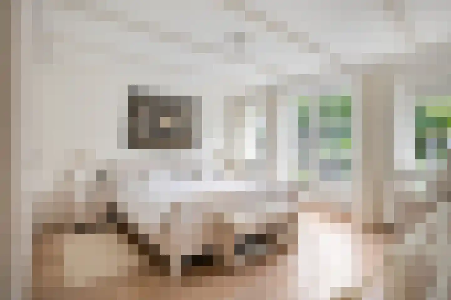Vissersweg 35 Elst Ut thumbnail 21