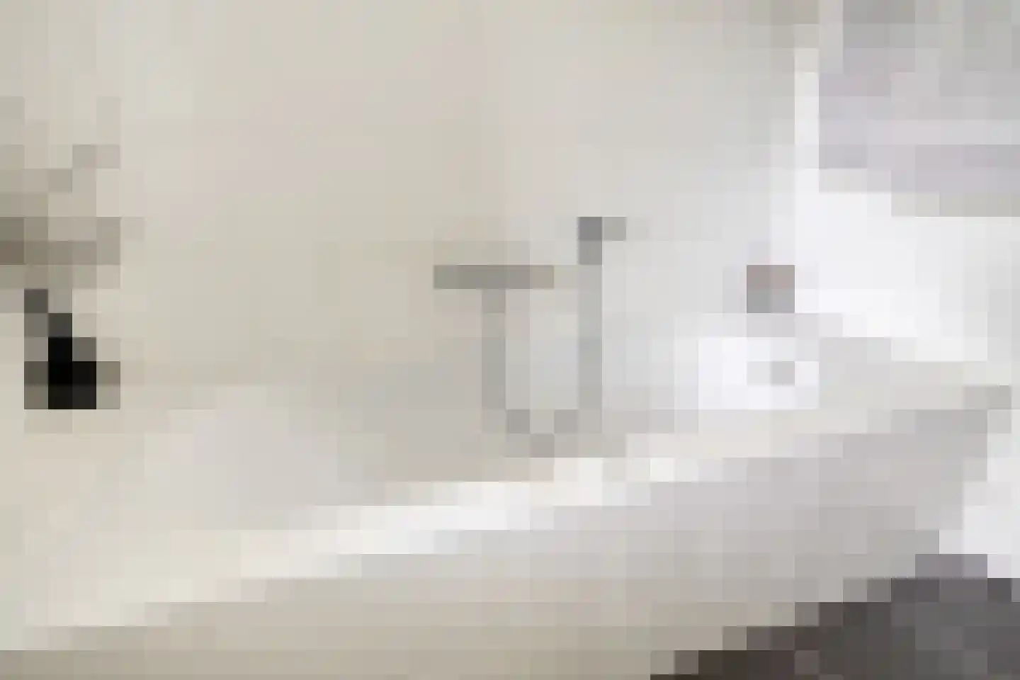 Vissersweg 35 Elst Ut thumbnail 25