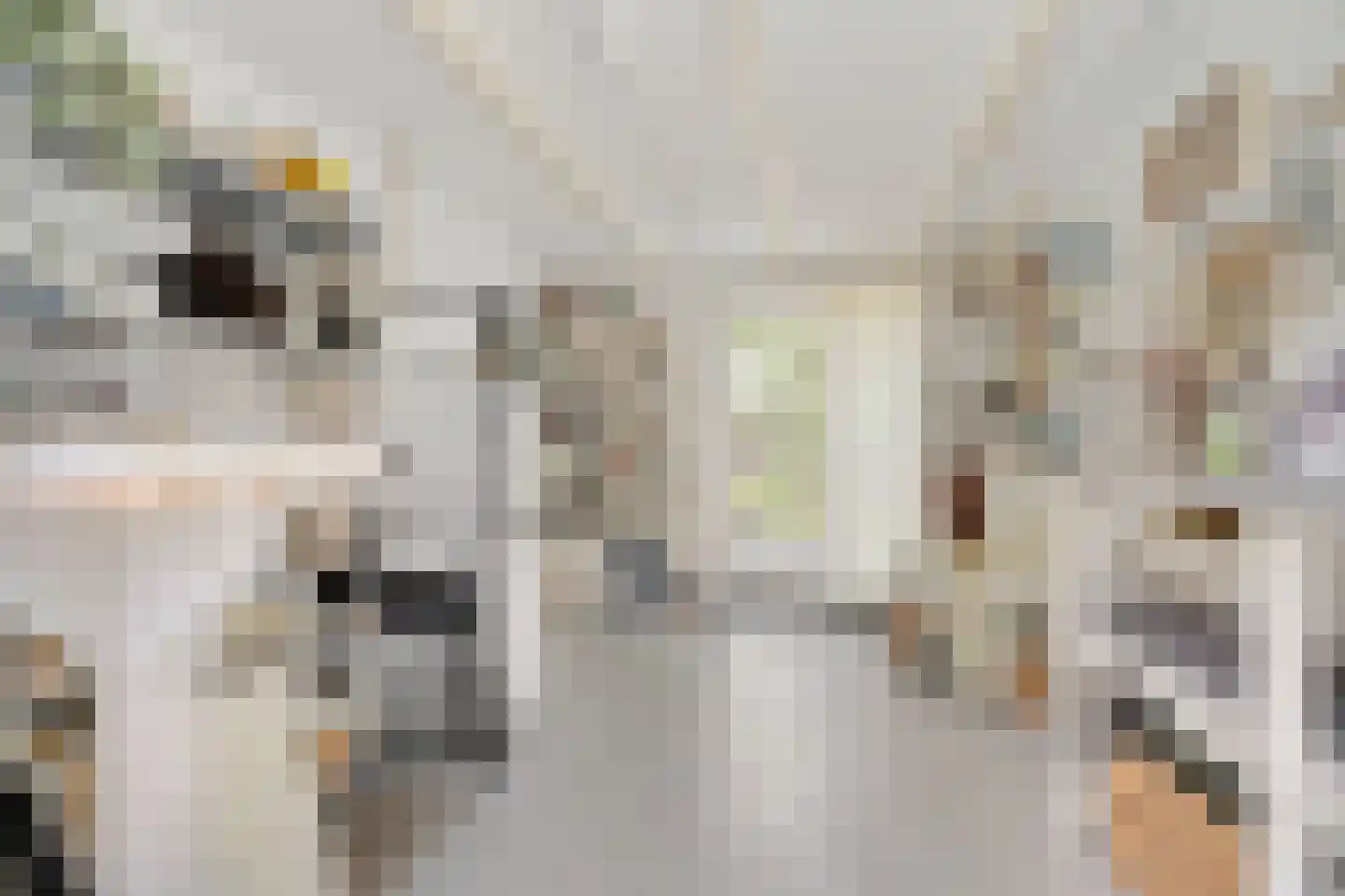Vissersweg 35 Elst Ut thumbnail 29