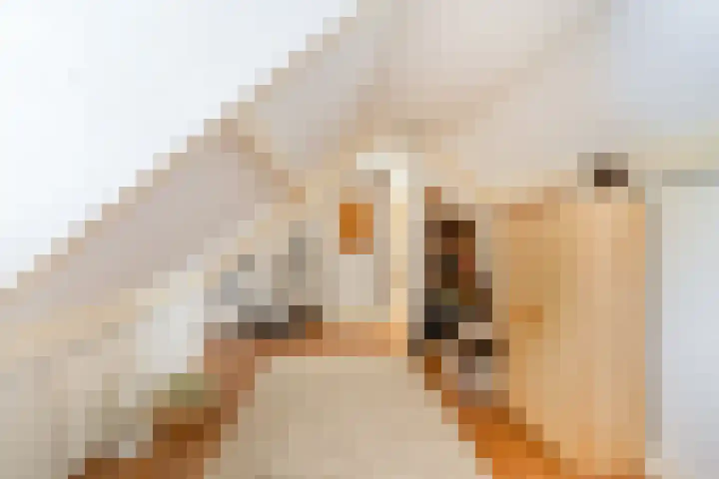 Vissersweg 35 Elst Ut thumbnail 32