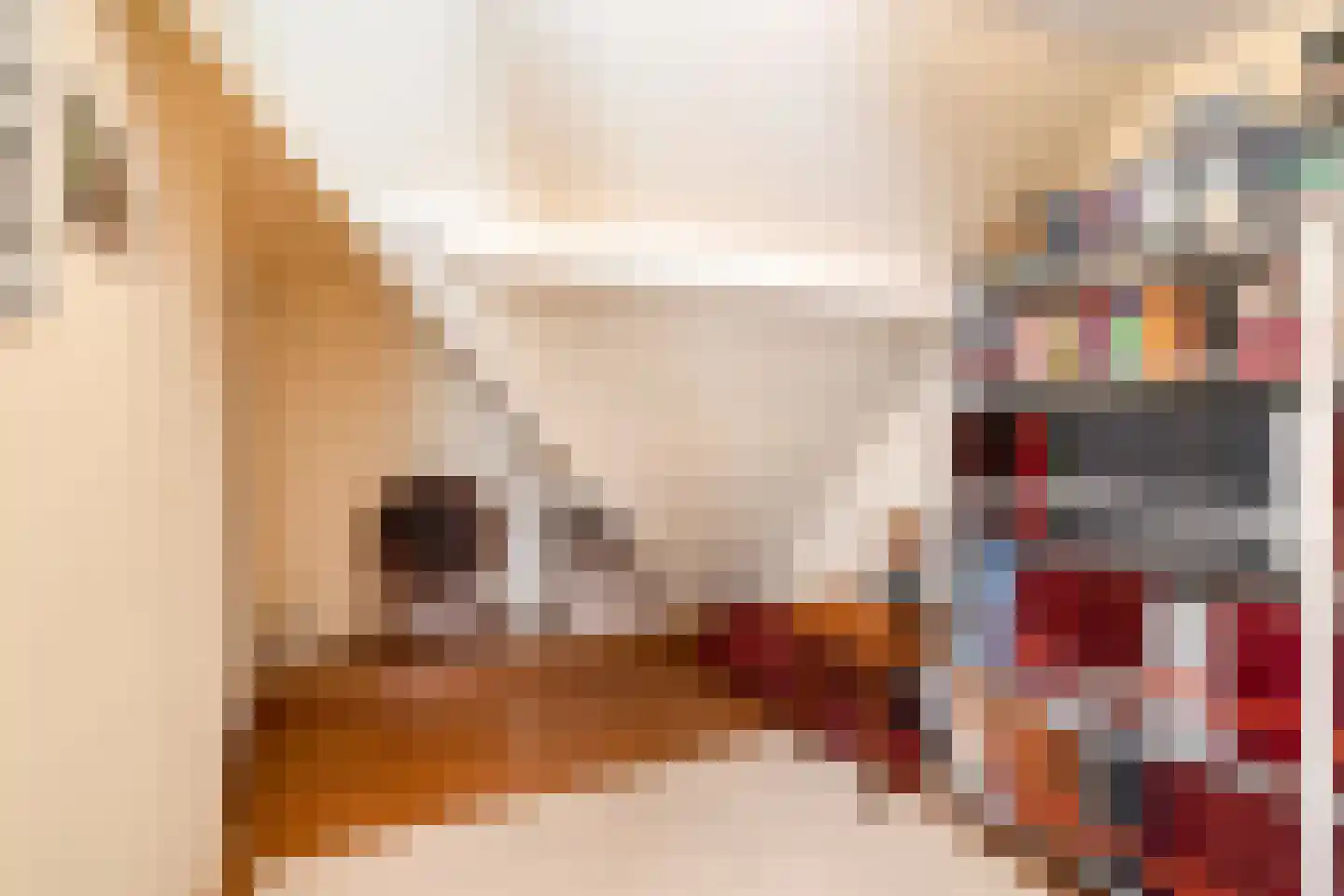 Vissersweg 35 Elst Ut thumbnail 36