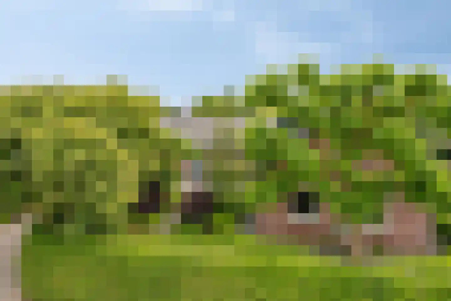 Vissersweg 35 Elst Ut thumbnail 4
