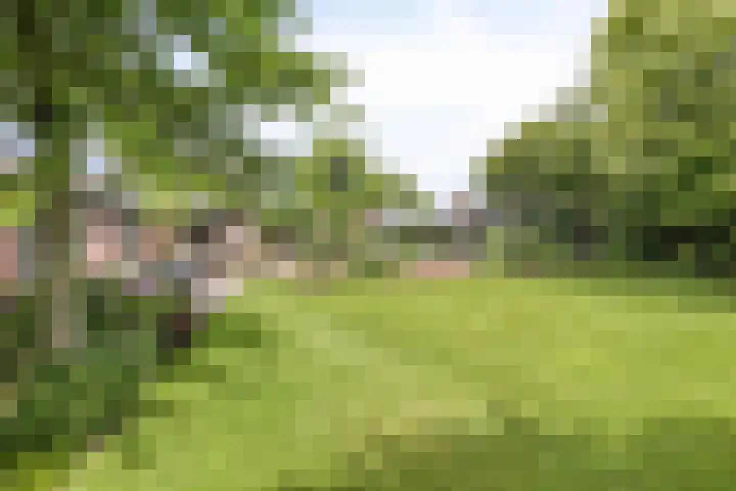 Vissersweg 35 Elst Ut thumbnail 42