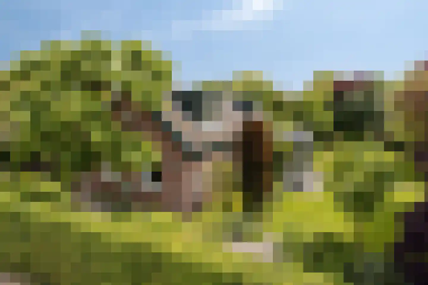 Vissersweg 35 Elst Ut thumbnail 50