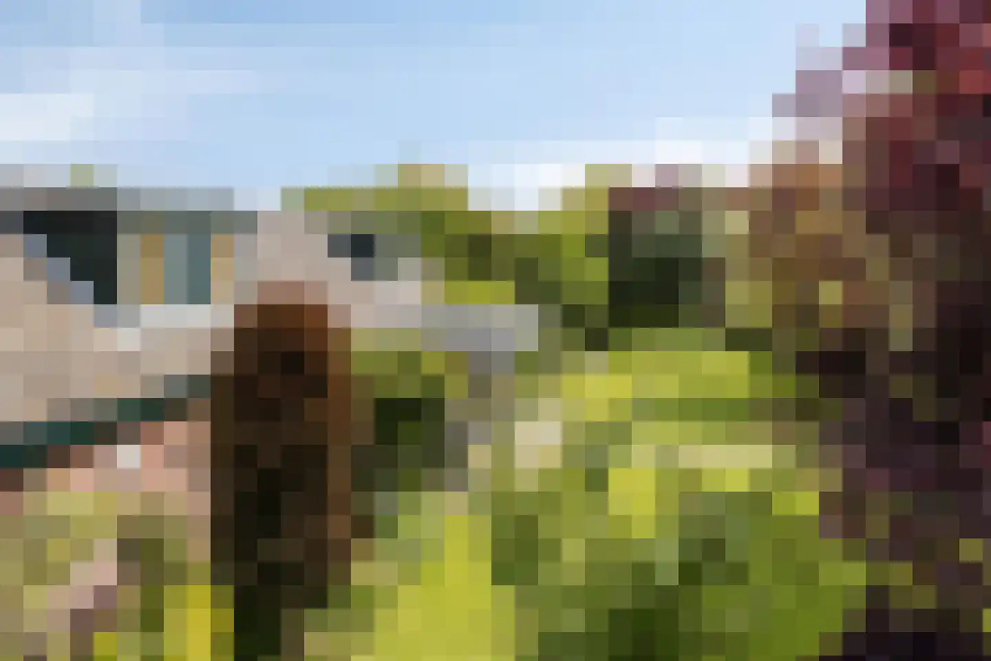Vissersweg 35 Elst Ut thumbnail 53