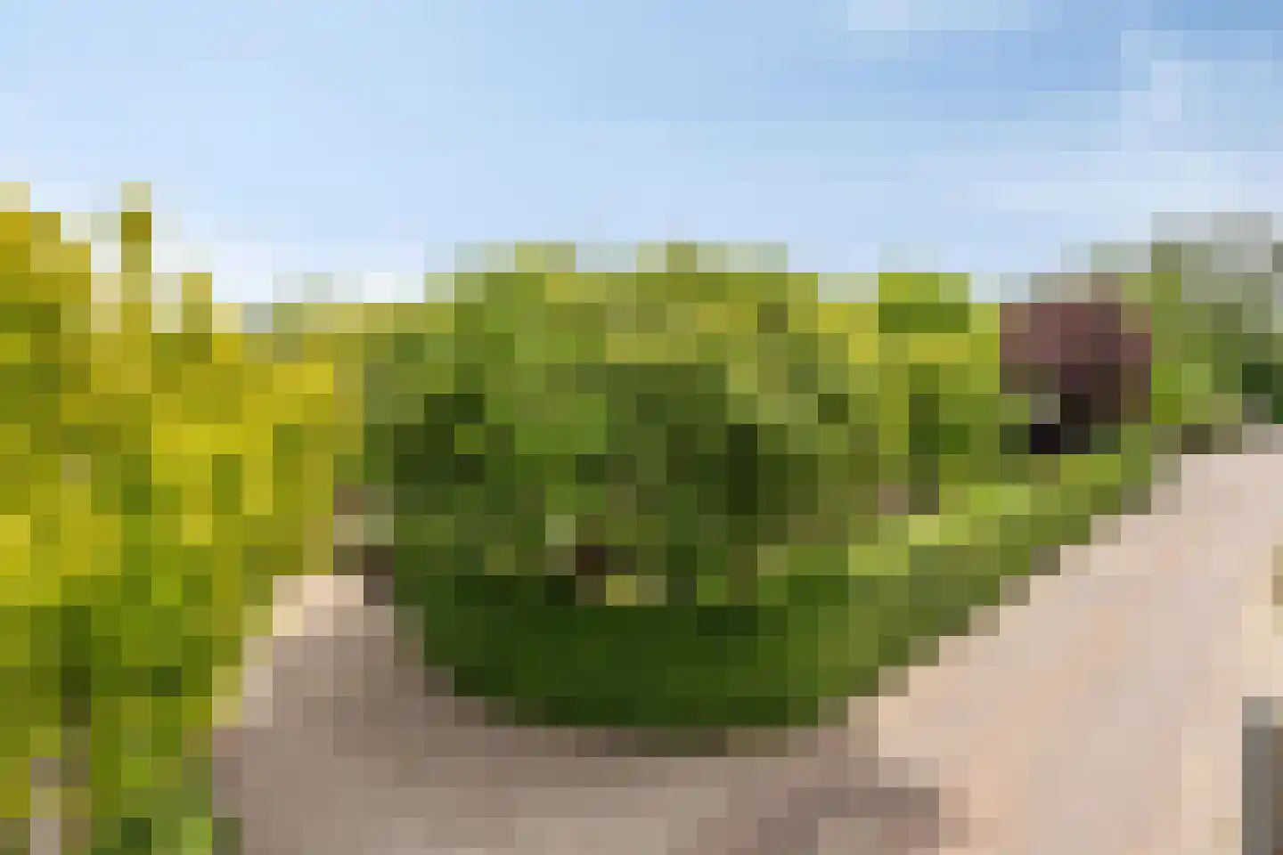 Vissersweg 35 Elst Ut thumbnail 54