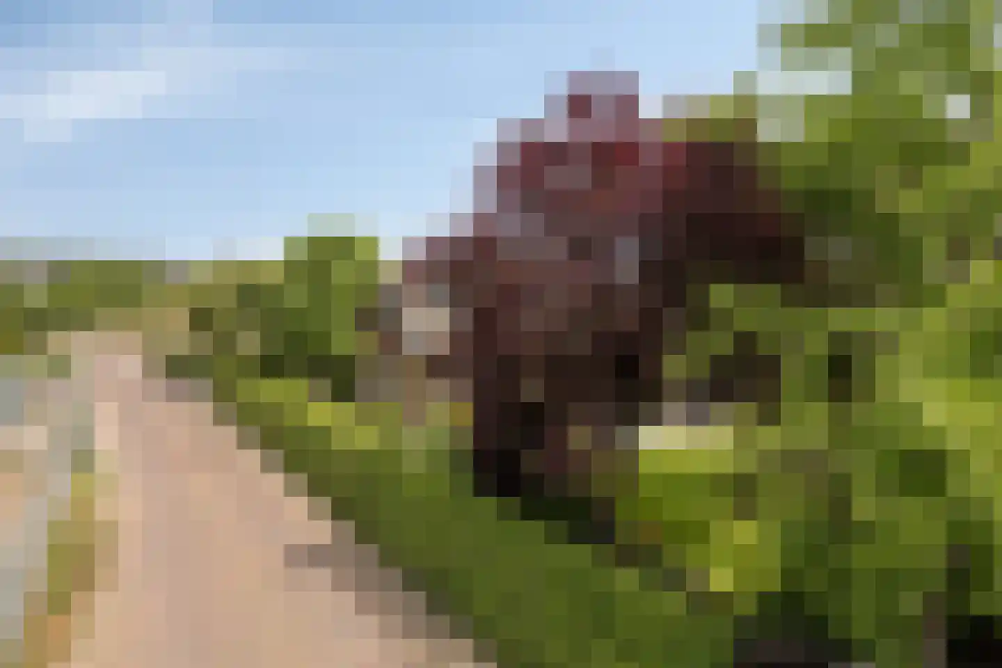 Vissersweg 35 Elst Ut thumbnail 55