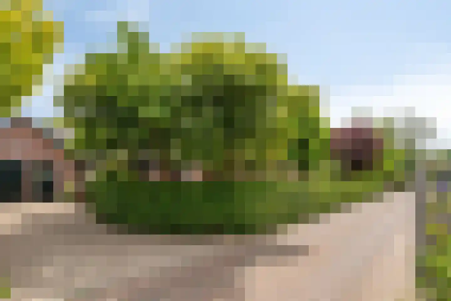 Vissersweg 35 Elst Ut thumbnail 6