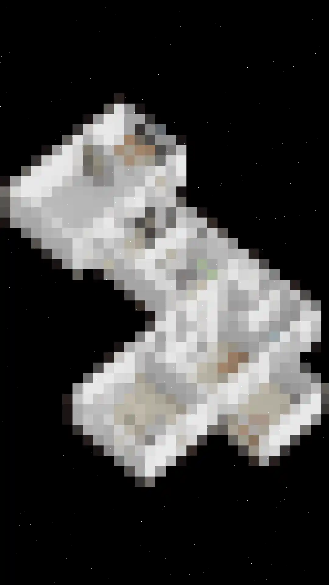 Vissersweg 35 Elst Ut thumbnail 65
