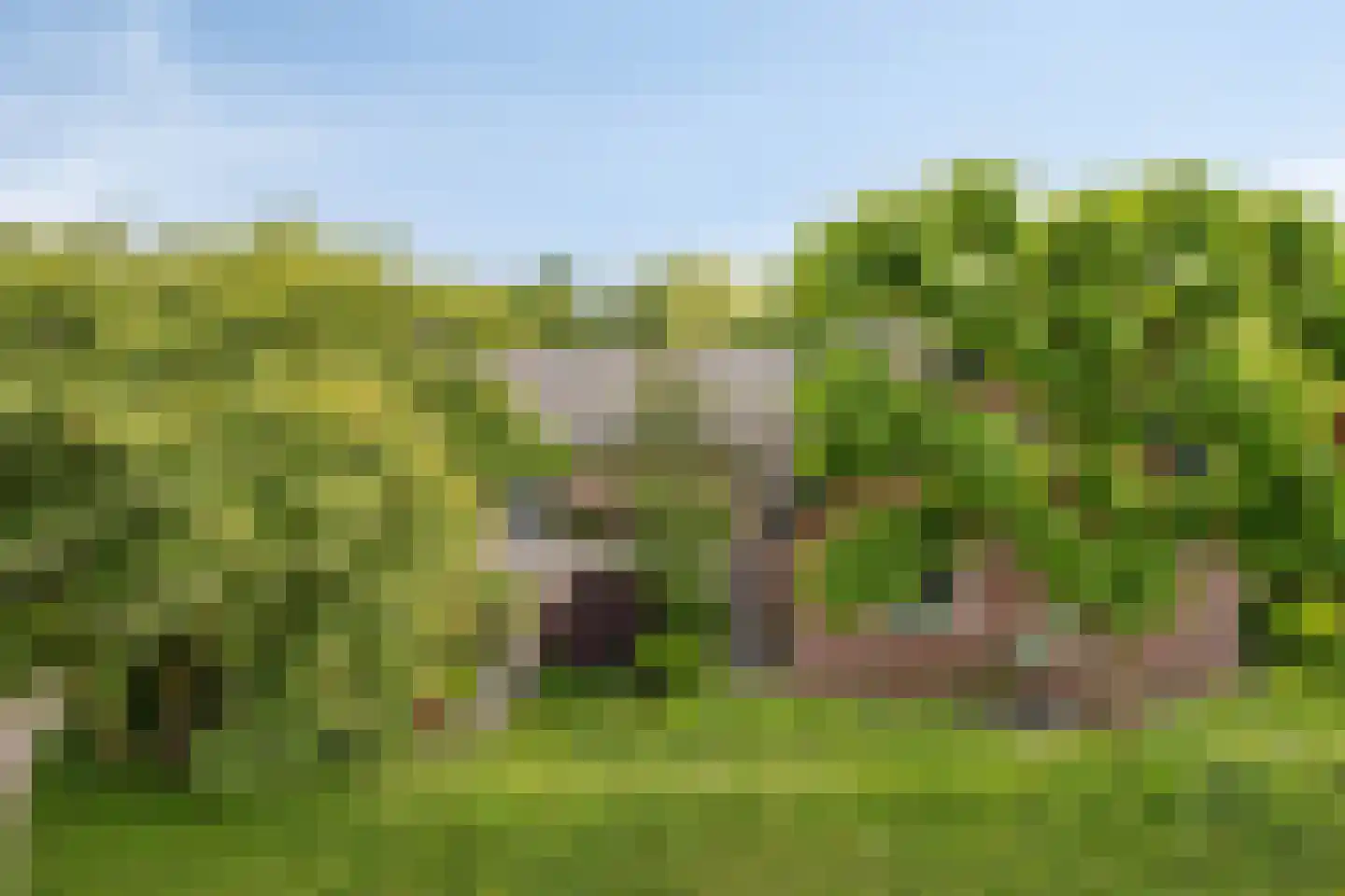 Vissersweg 35 Elst Ut thumbnail 8