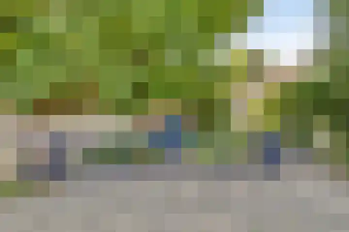 Visserweert 39 A Roosteren thumbnail 33