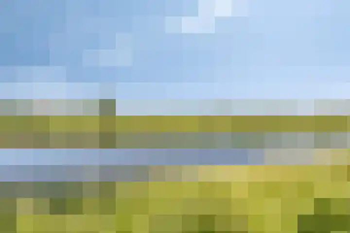 Visserweert 39 A Roosteren thumbnail 34