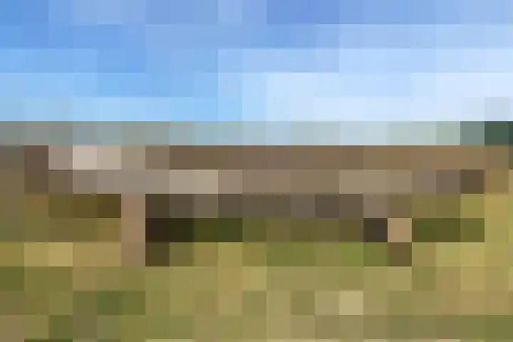 Visserweert 39 A Roosteren thumbnail 35