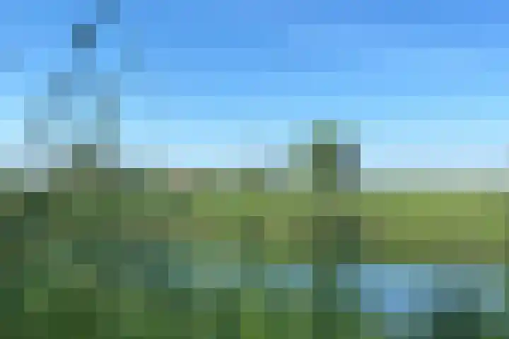 Visserweert 39 A Roosteren thumbnail 36