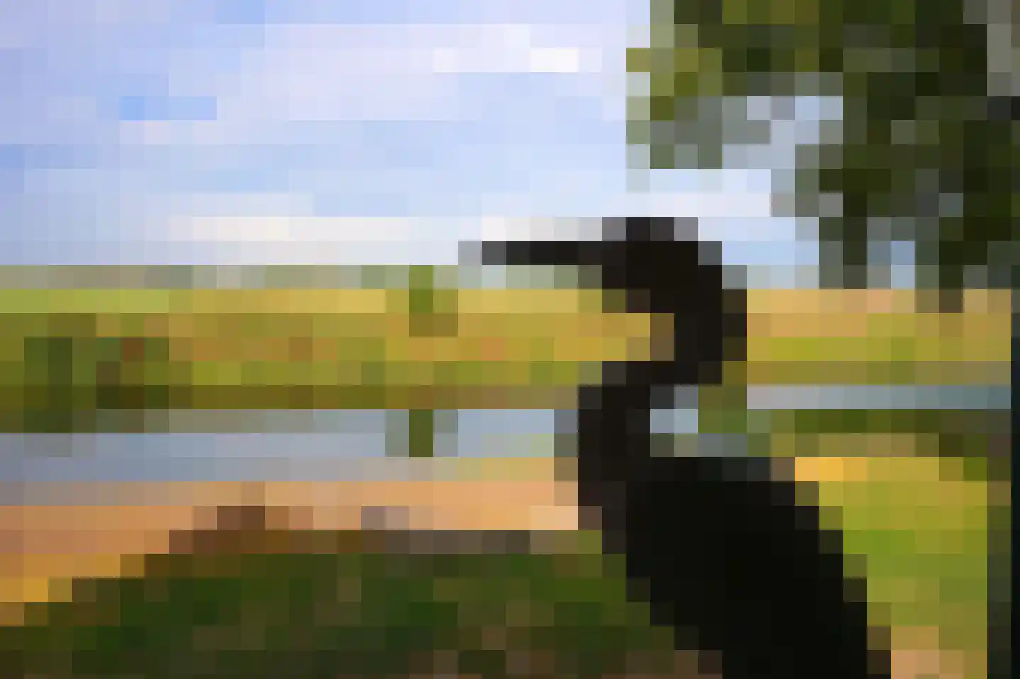 Visserweert 42 Roosteren thumbnail 19