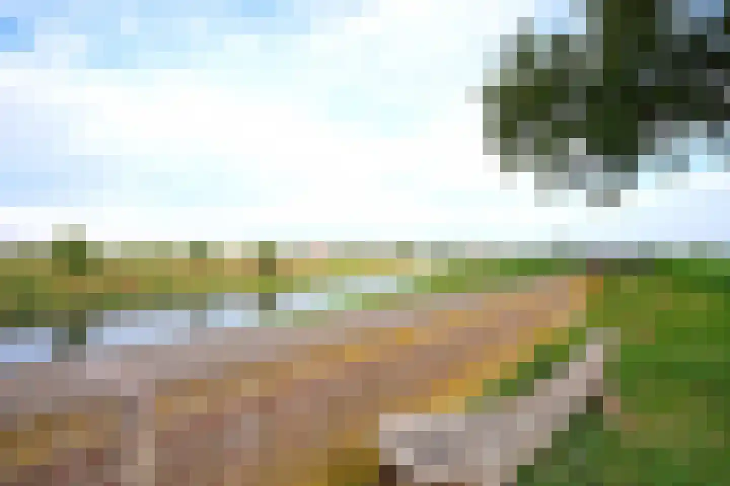 Visserweert 42 Roosteren thumbnail 27