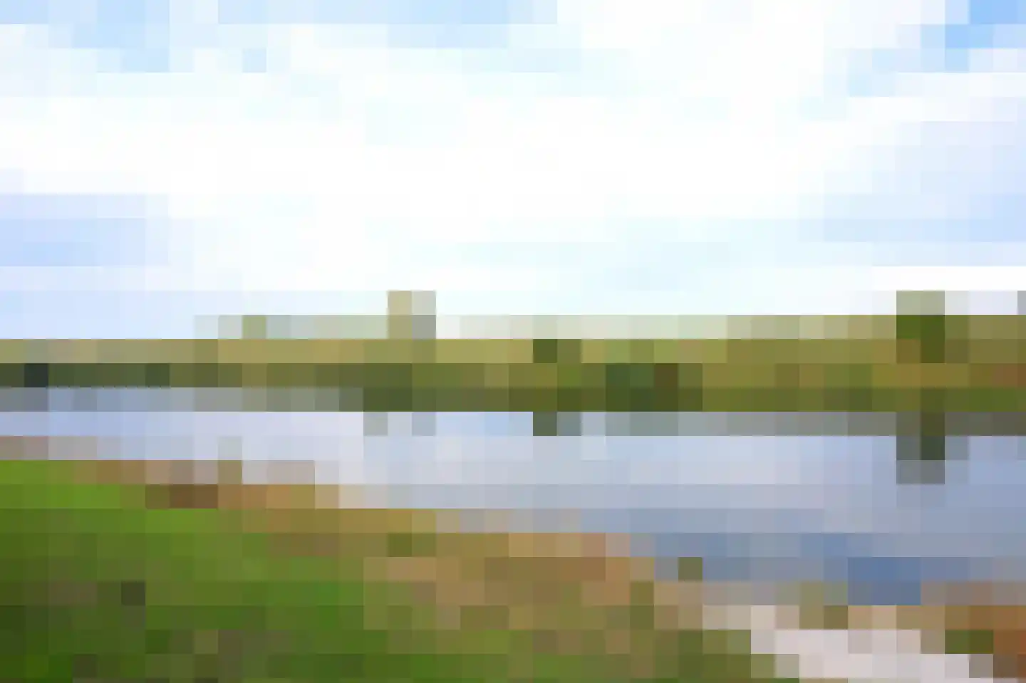 Visserweert 42 Roosteren thumbnail 28