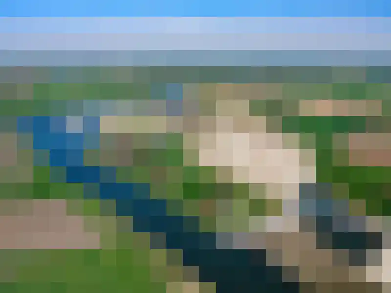 Visserweert 42 Roosteren thumbnail 33