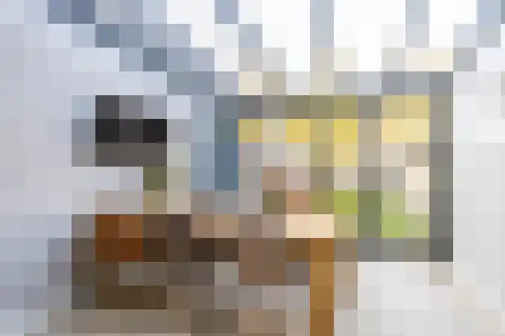 Visserwei 32 Terwispel thumbnail 19