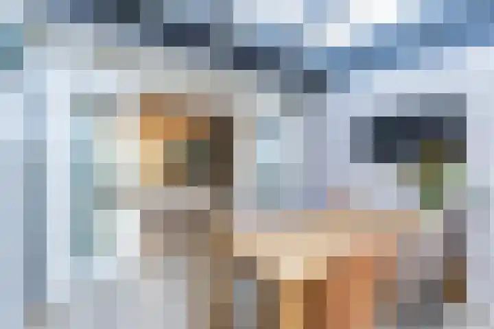 Visserwei 32 Terwispel thumbnail 20