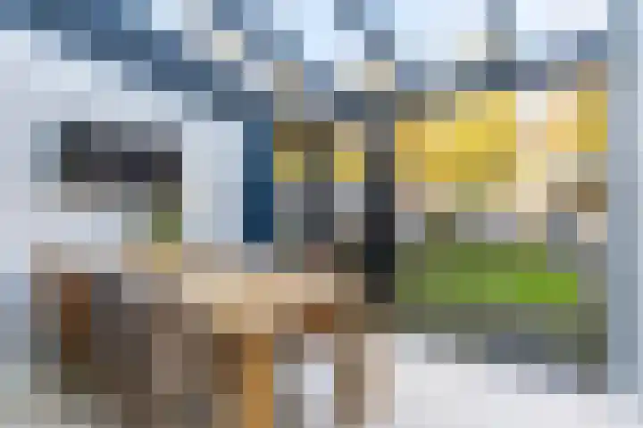 Visserwei 32 Terwispel thumbnail 21