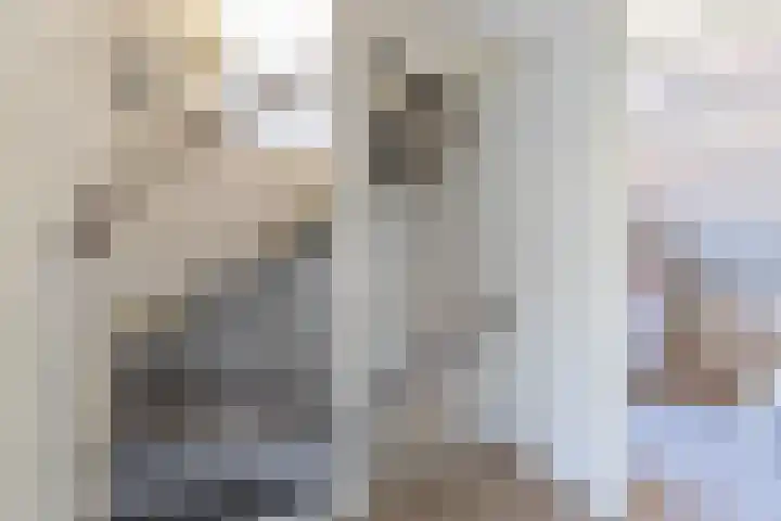 Visserwei 32 Terwispel thumbnail 24