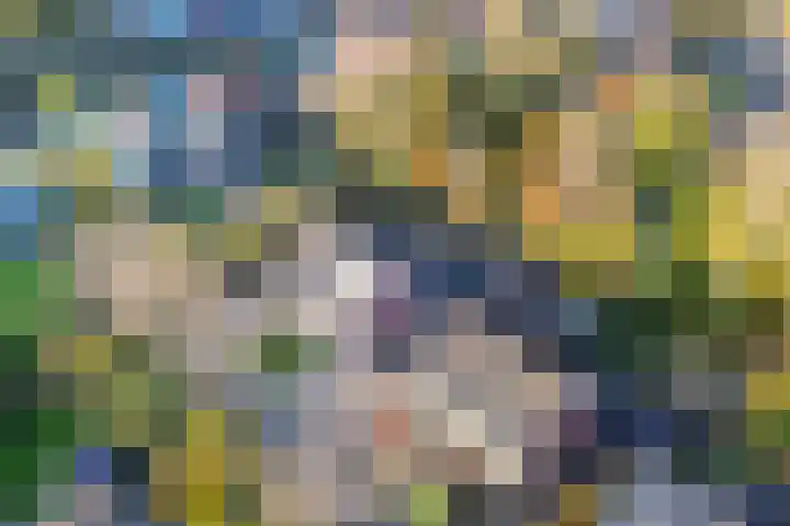 Visserwei 32 Terwispel thumbnail 37