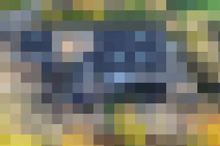 Visserwei 32 Terwispel thumbnail 38