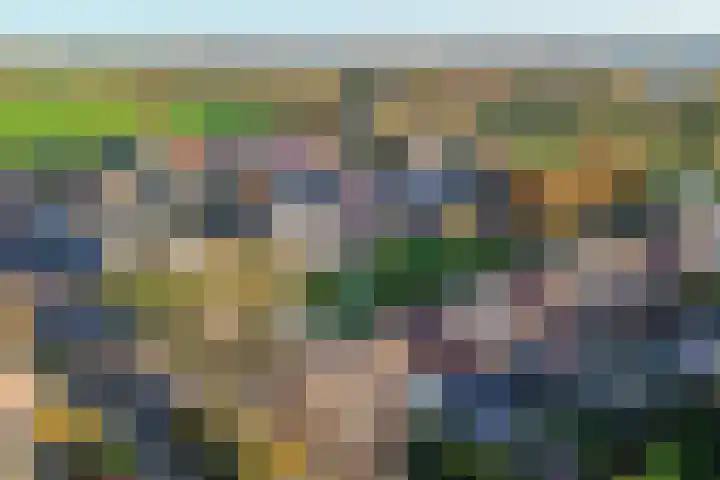 Visserwei 32 Terwispel thumbnail 39