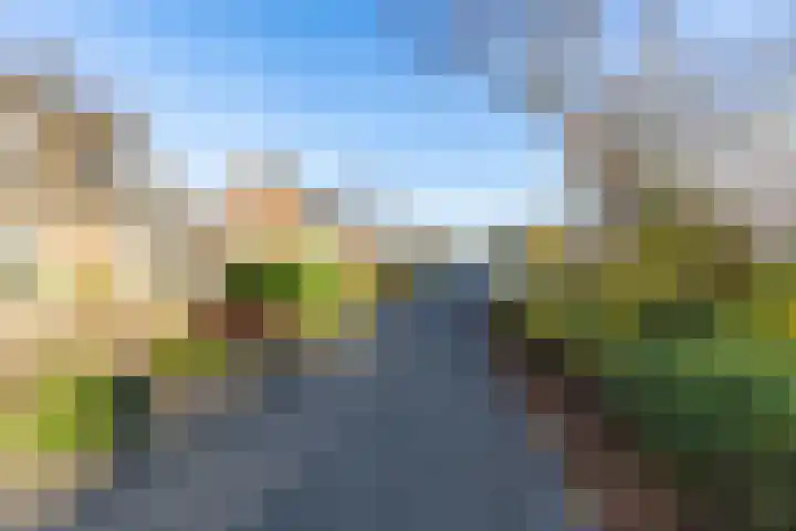 Visserwei 32 Terwispel thumbnail 4