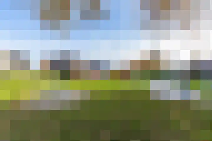 Visserwei 32 Terwispel thumbnail 40