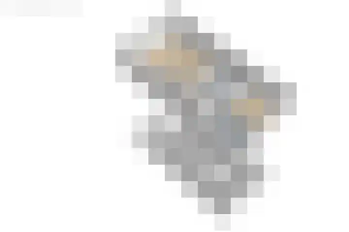 Visserwei 32 Terwispel thumbnail 44