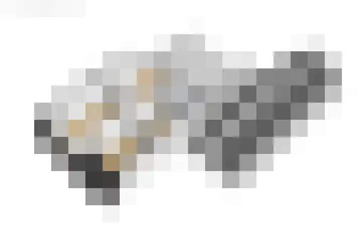 Visserwei 32 Terwispel thumbnail 47
