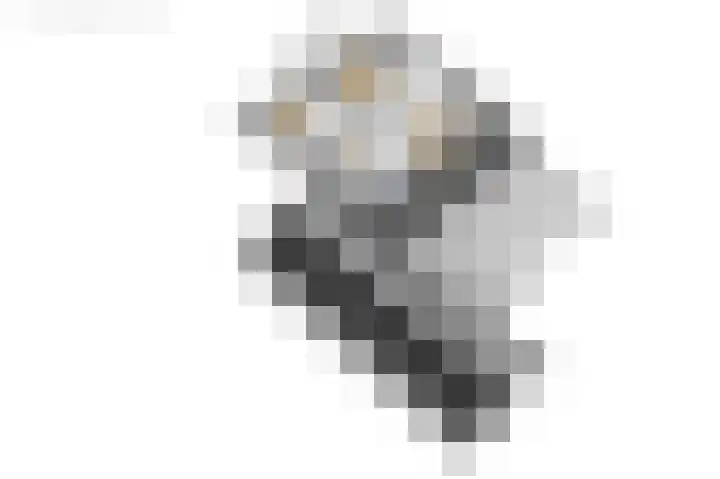 Visserwei 32 Terwispel thumbnail 48