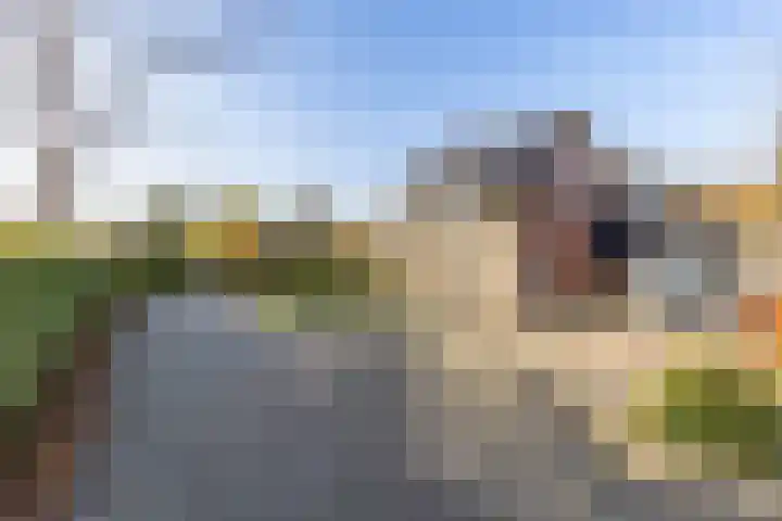 Visserwei 32 Terwispel thumbnail 5