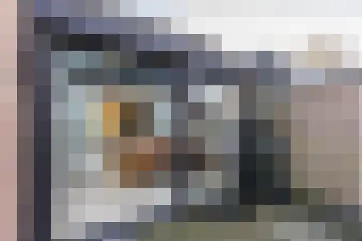 Visserwei 32 Terwispel thumbnail 8