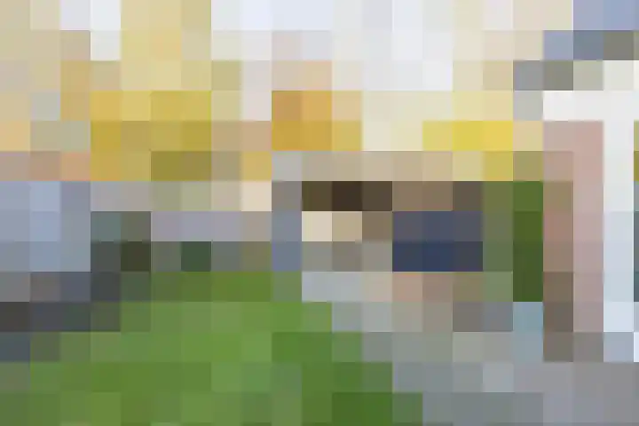 Visserwei 32 Terwispel thumbnail 9