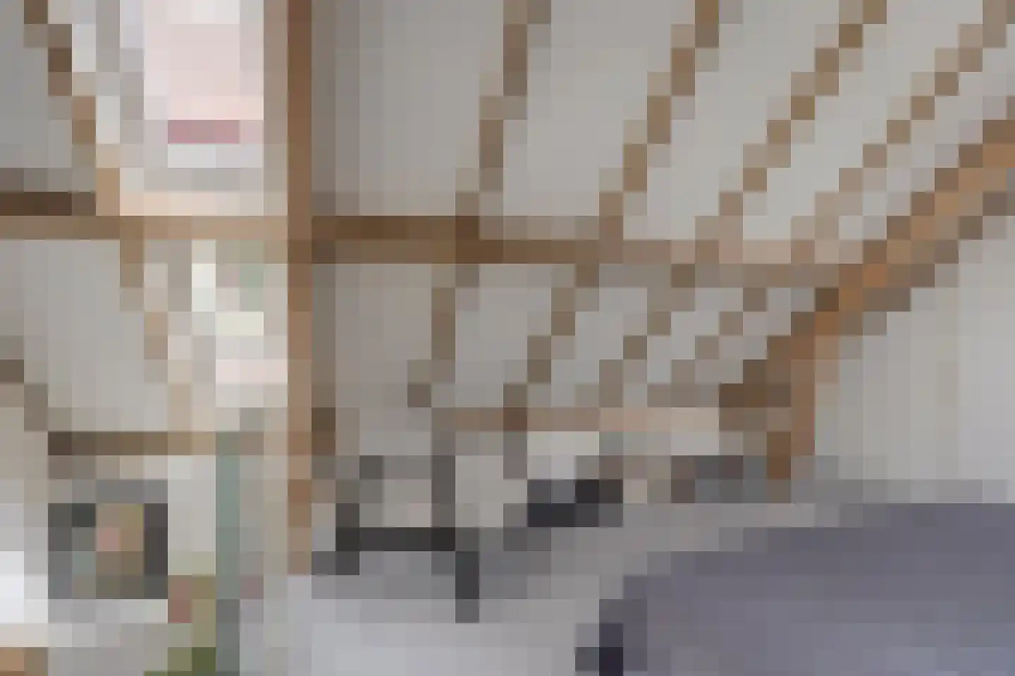 Vissteeg 6 Gouda thumbnail 10