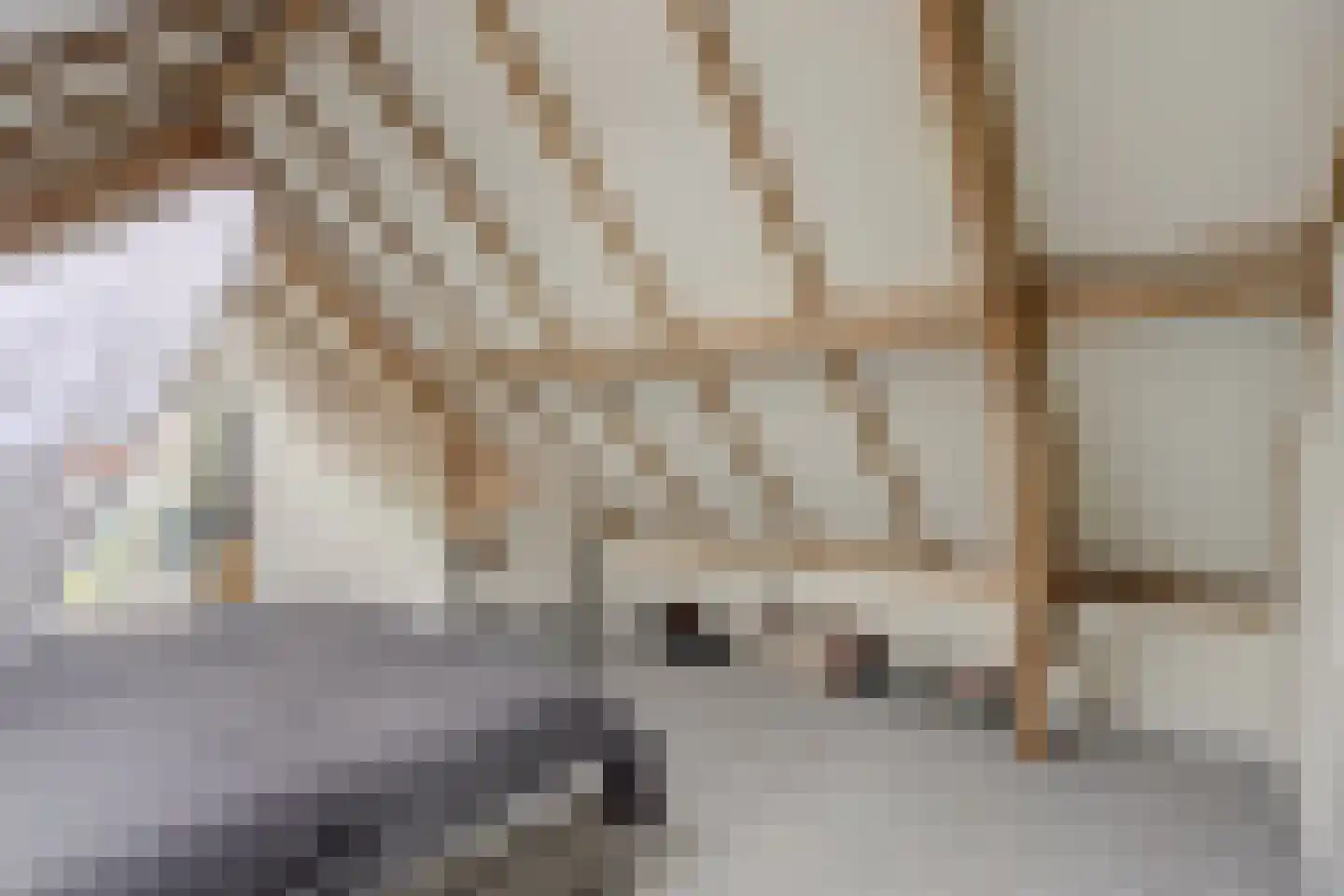 Vissteeg 6 Gouda thumbnail 11