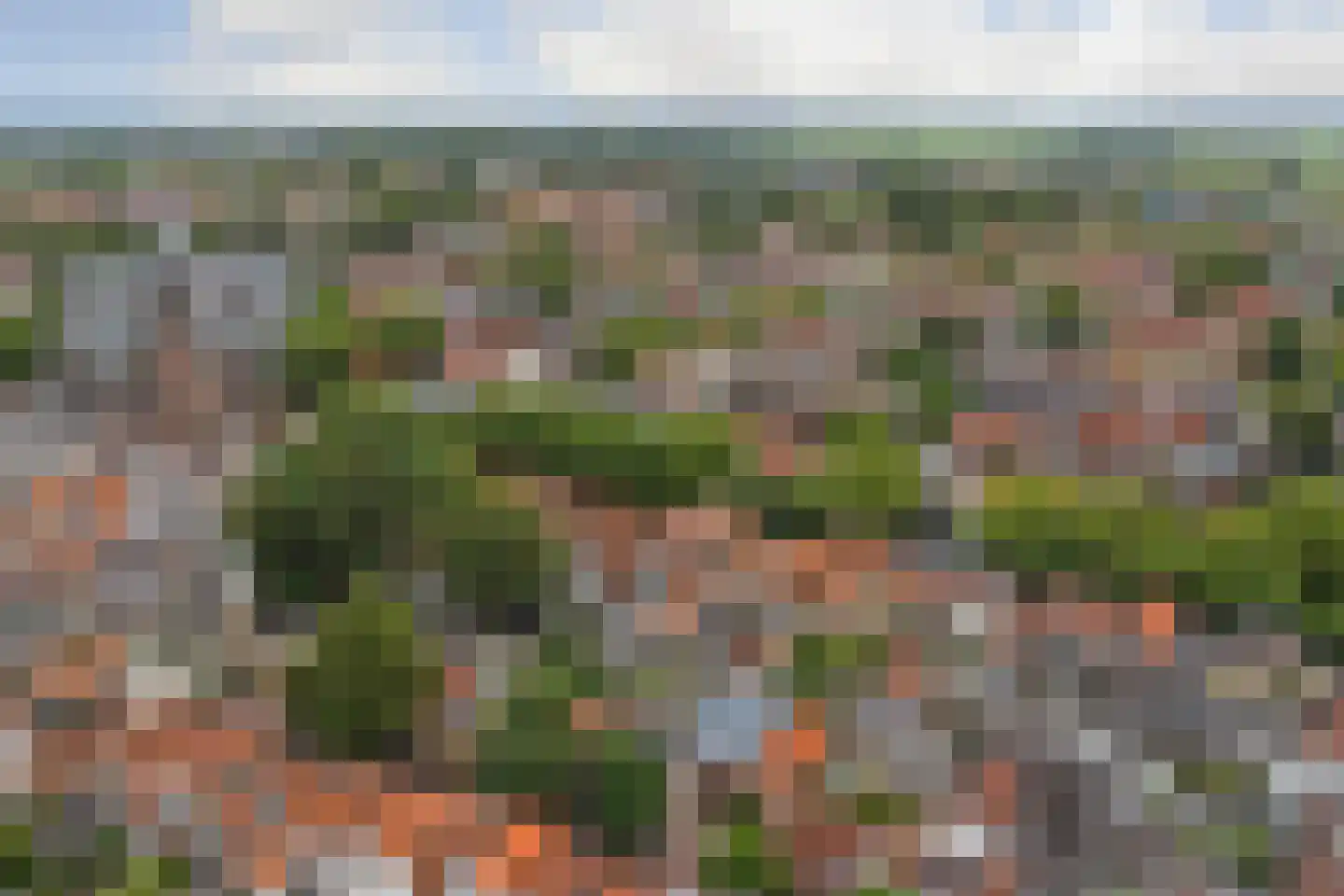 Vissteeg 6 Gouda thumbnail 16