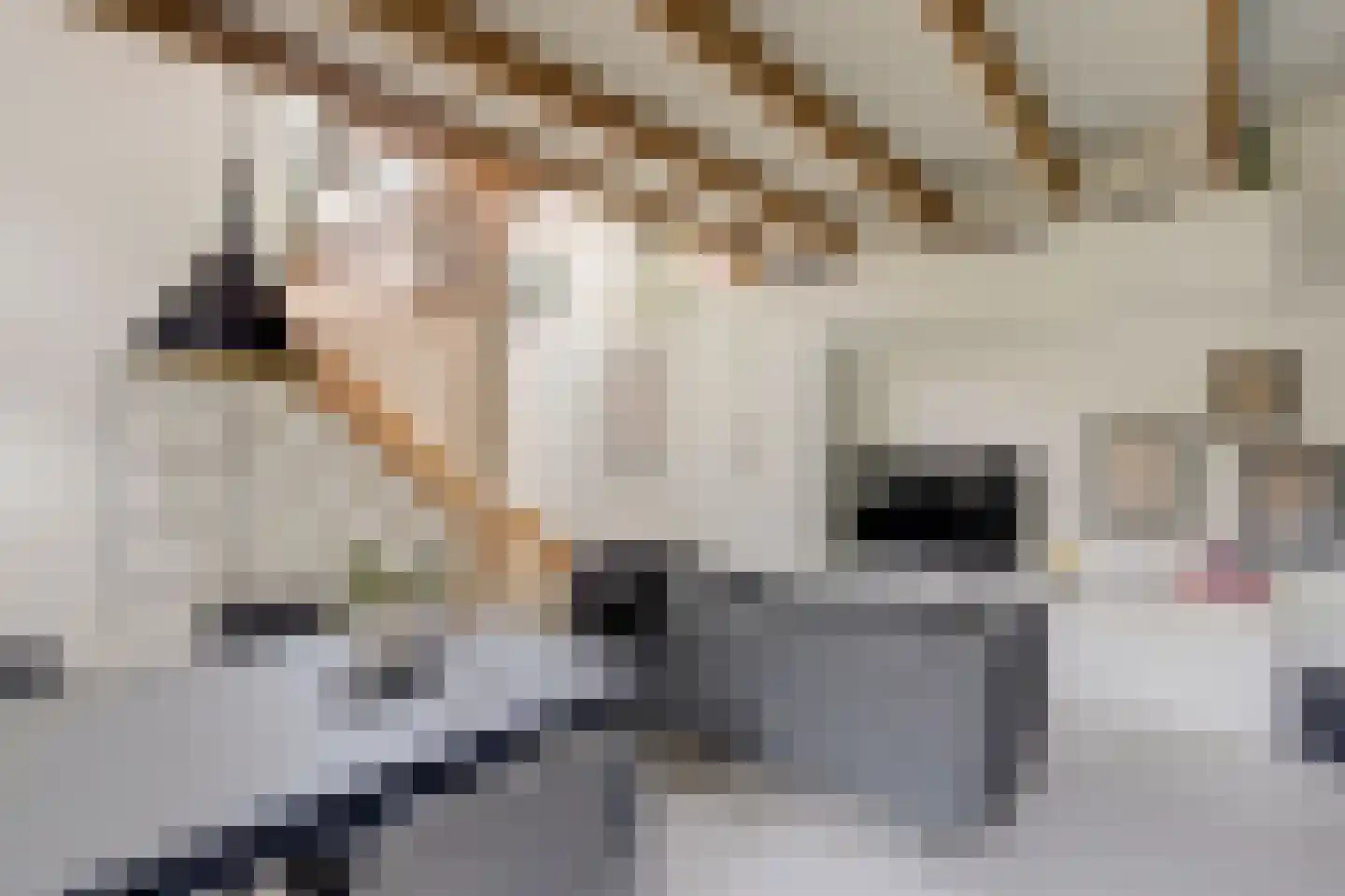 Vissteeg 6 Gouda thumbnail 4