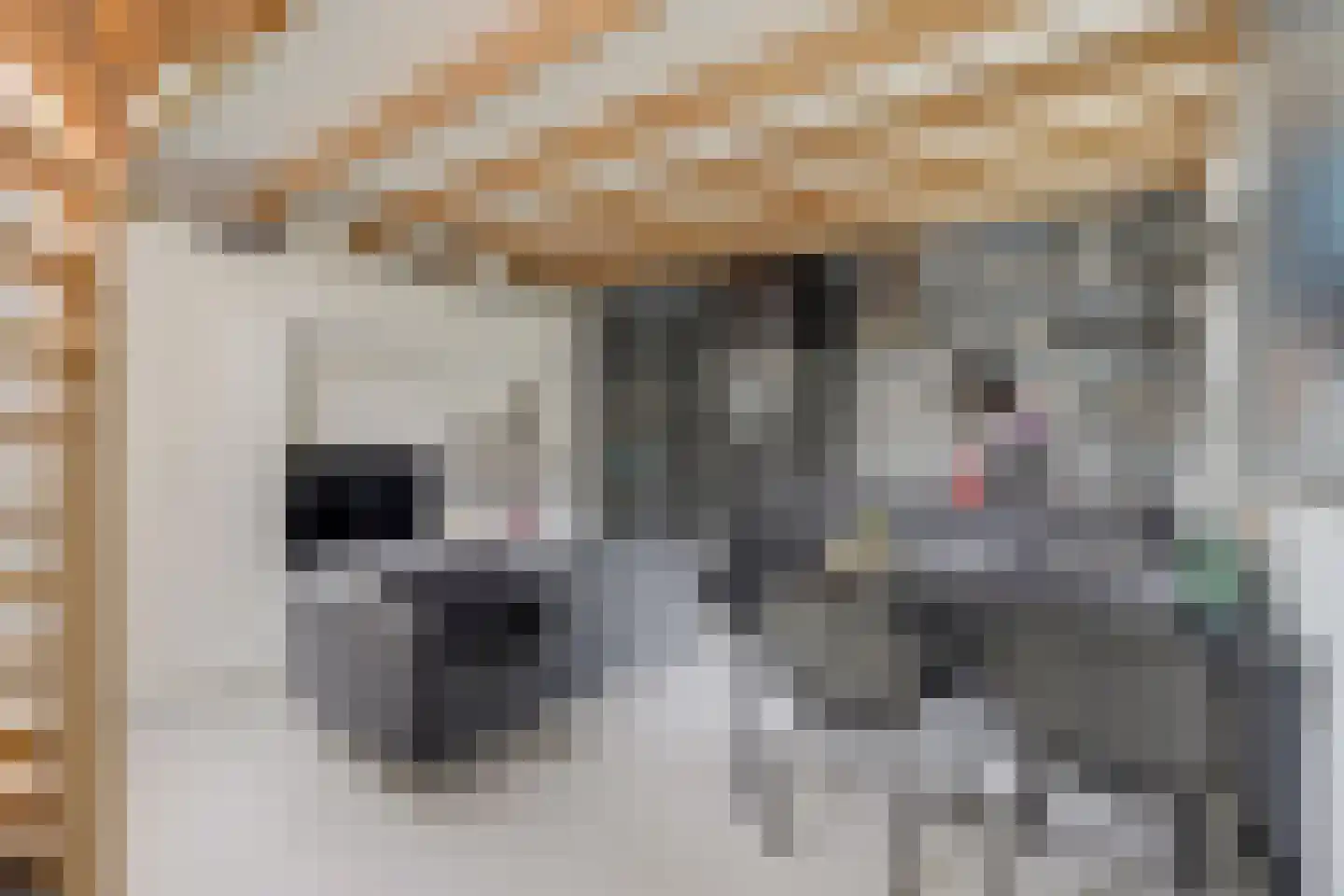 Vissteeg 6 Gouda thumbnail 5