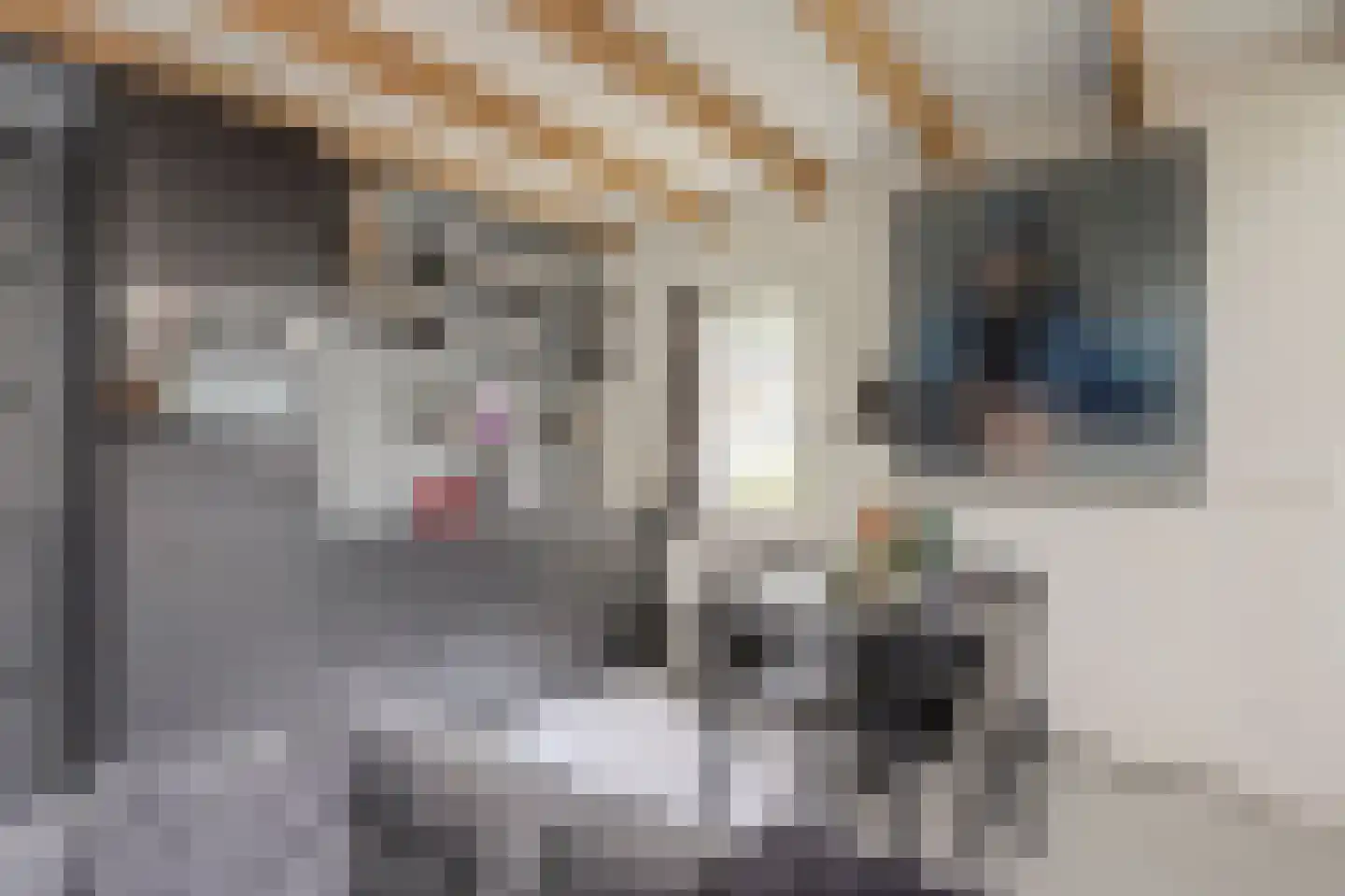 Vissteeg 6 Gouda thumbnail 7
