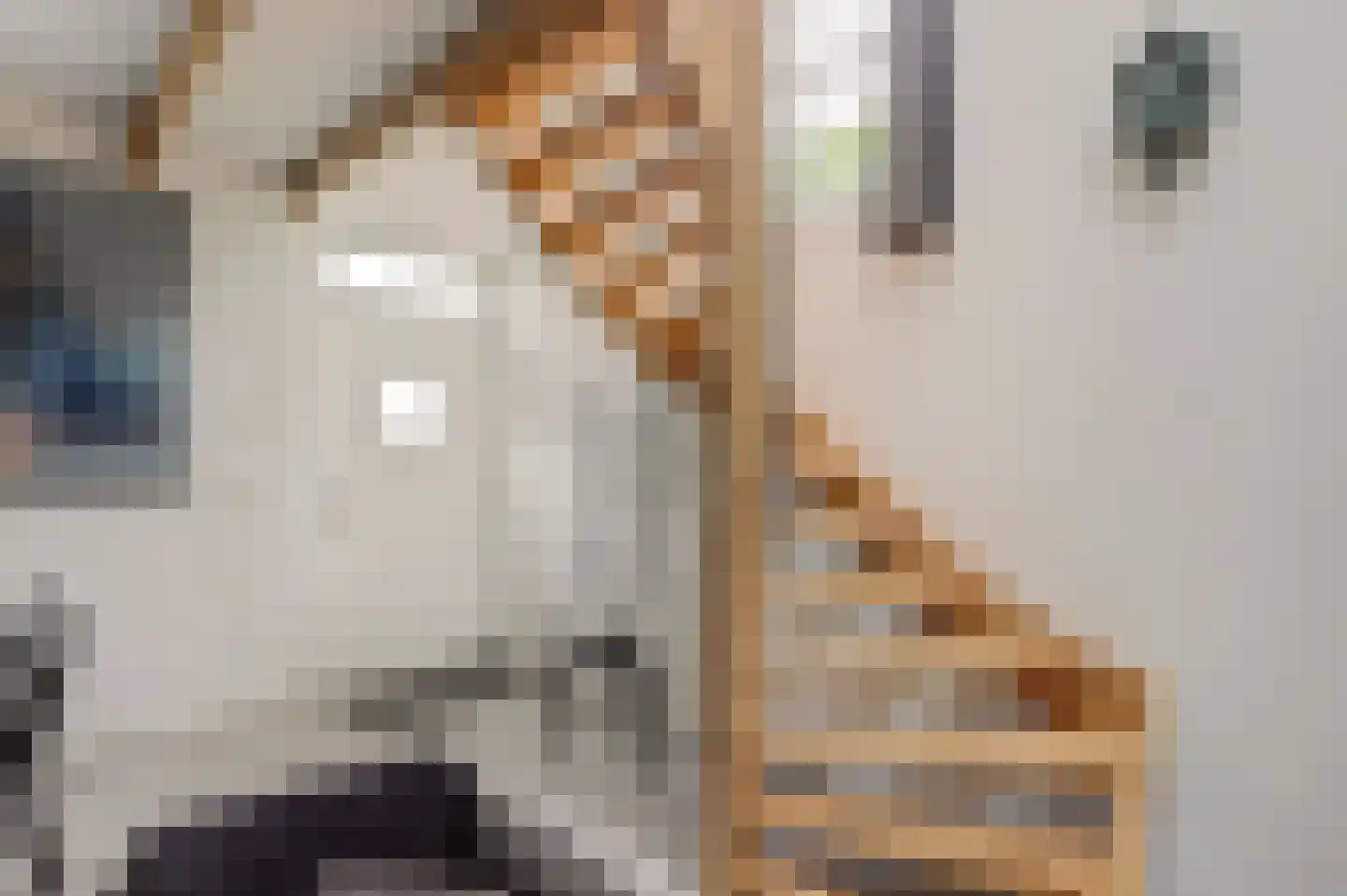 Vissteeg 6 Gouda thumbnail 8