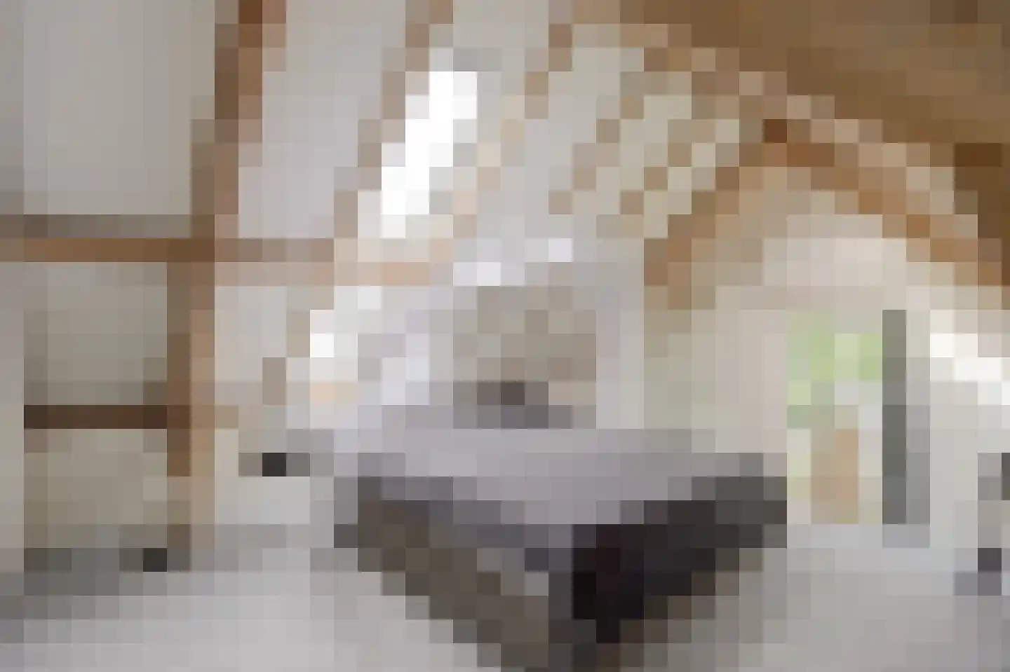 Vissteeg 6 Gouda thumbnail 9