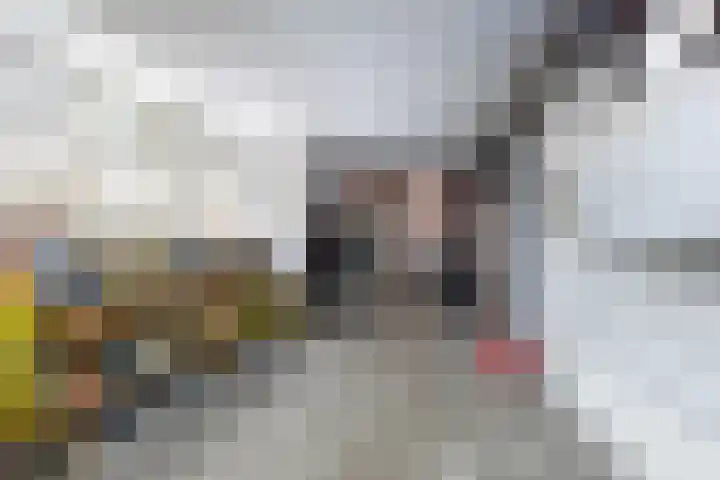 Visstraat 17 Tholen thumbnail 4