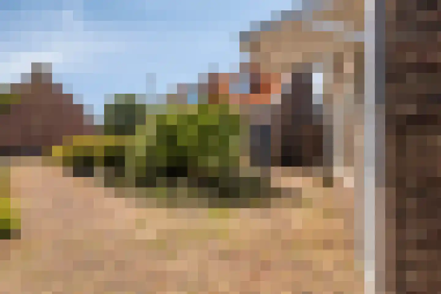 Visstraat 19 Den Helder thumbnail 4