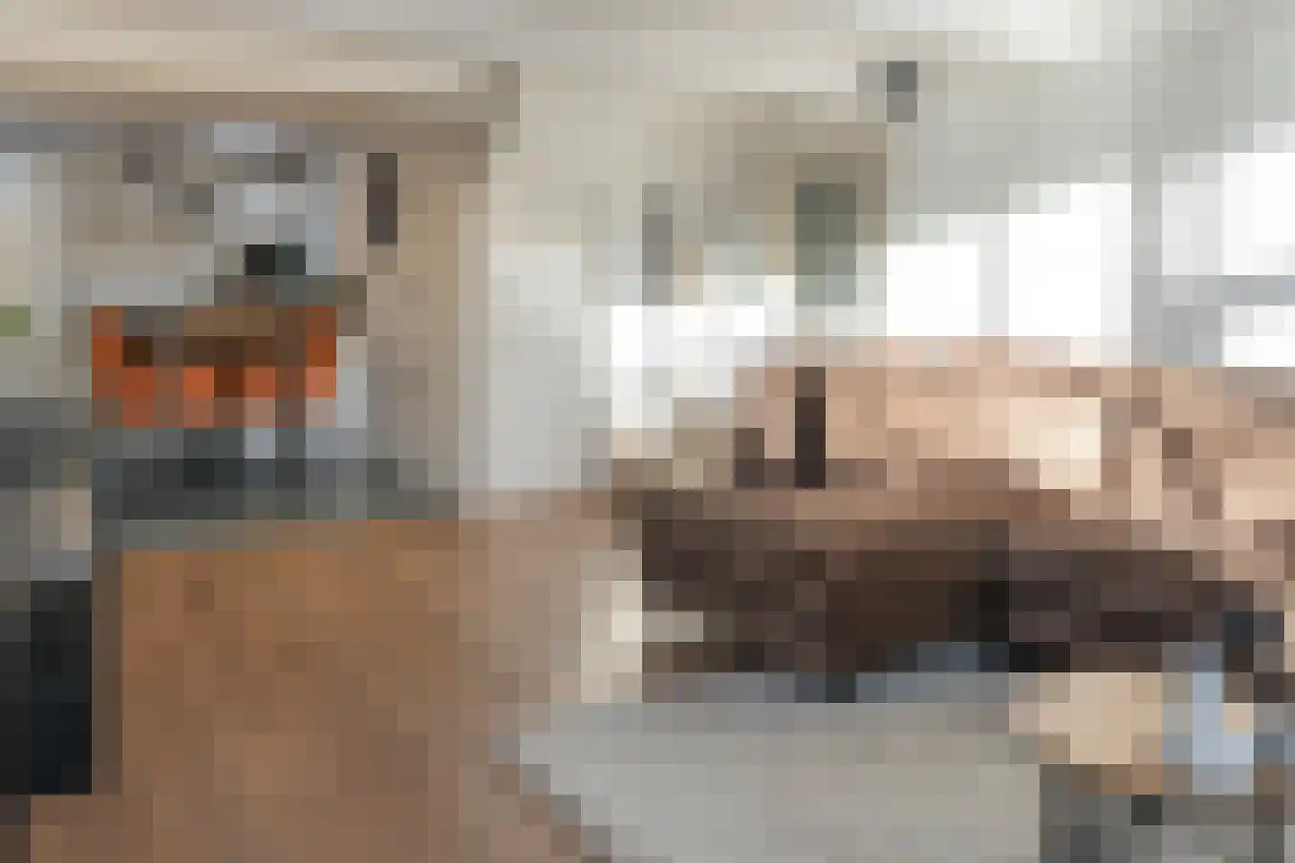 Visstraat 21 Joure thumbnail 12