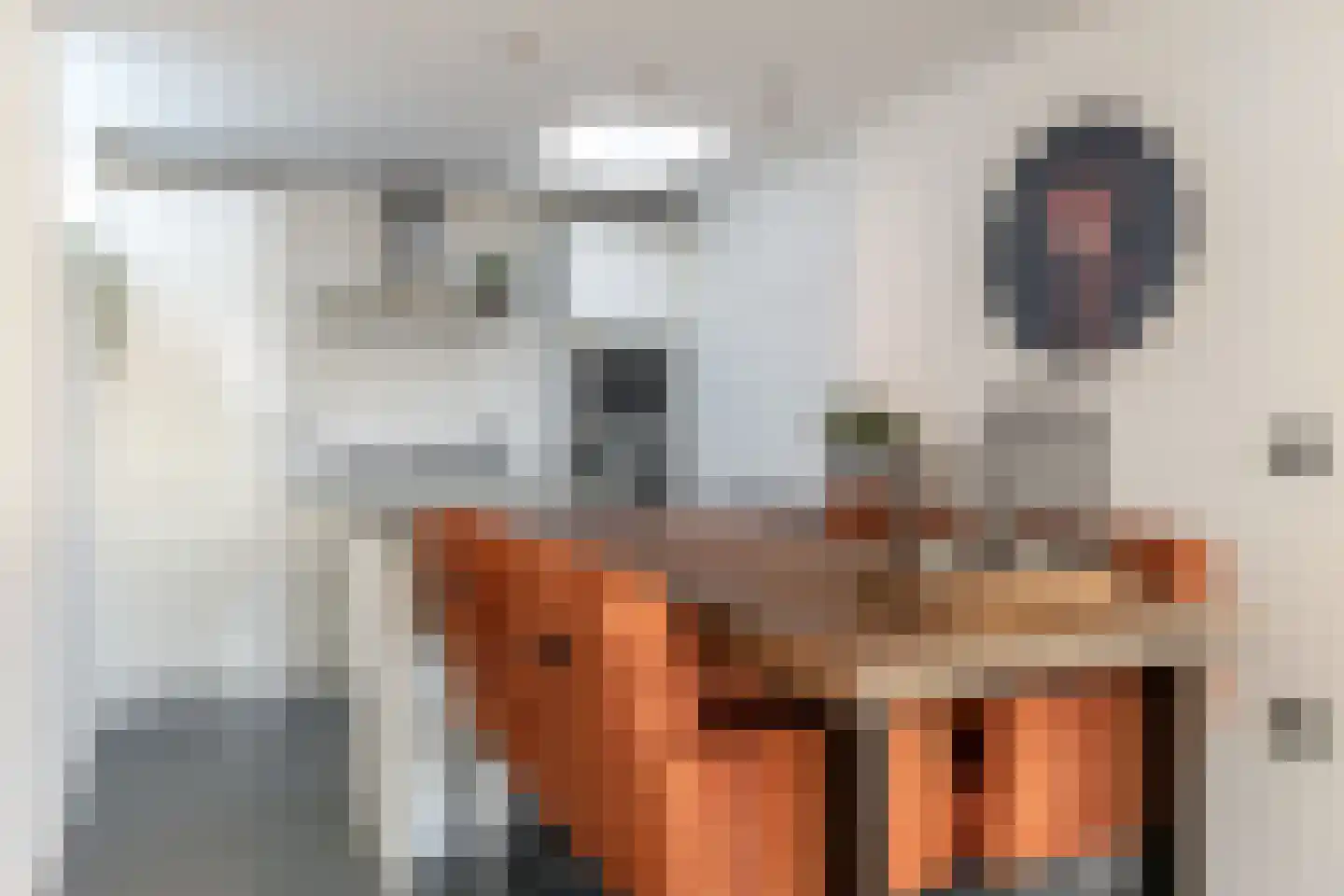 Visstraat 21 Joure thumbnail 4